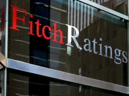 Halla Fitch fundamentos crediticios sólidos en Mexcat. Revista Fortuna