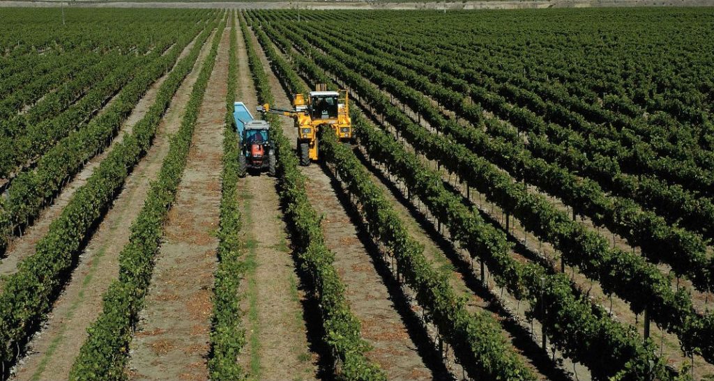 Muestra lentitud en la economía en el cuarto mes. Revista Fortuna