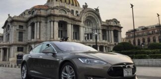 El anuncio de inversión de Tesla por un monto de $10,000 mdd en Santa Catarina es la operación individual de aumento de capacidad instalada