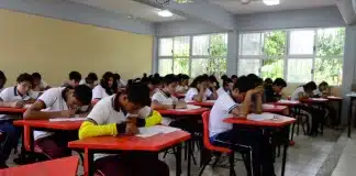 Bullying afecta a 18 millones de alumnos de primaria y secundaria en México: OCDE