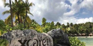 Grupo Xcaret usará autobuses eléctricos en la operación de Destino Xcaret