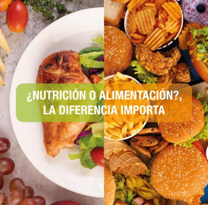 Especialistas afirman que saciar el hambre no es lo mismo que tener una alimentación balanceada, toda vez que cada persona