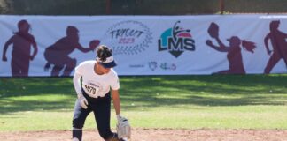 Inicialmente participarán seis de los 20 equipos que conforman la Liga Mexicana de Béisbol. / Foto: Liga Mexicana de Sóftbol