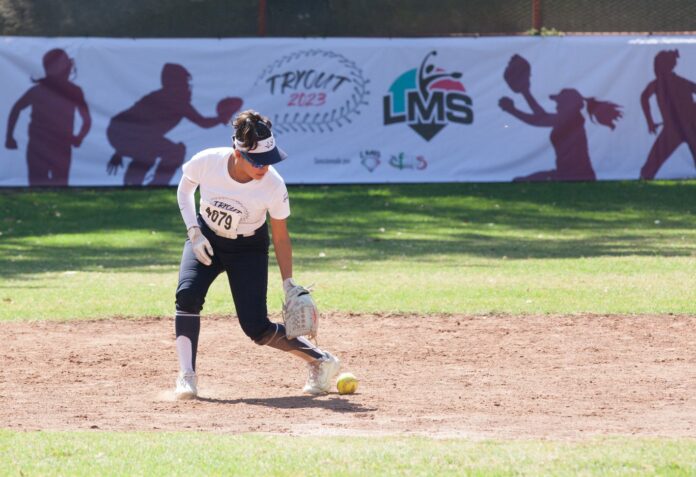 Inicialmente participarán seis de los 20 equipos que conforman la Liga Mexicana de Béisbol. / Foto: Liga Mexicana de Sóftbol