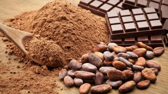 Producción de cacao sufre a causa de cambio climático