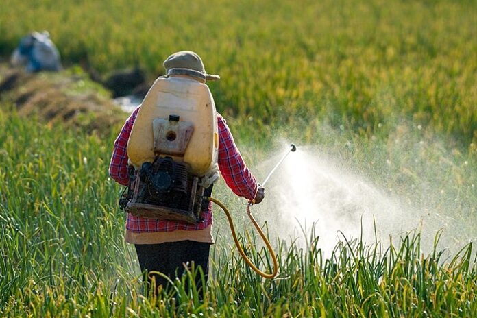 en virtud de que no se han concretado las condiciones para sustituir el uso del glifosato en la agricultura mexicana, el presidente determinó