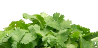 La primera a la segunda semana de junio, en distintos estados de la república, el precio del cilantro ha registrado un incremento de hasta el 400%