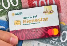 del 19 al 30 de noviembre se llevará a cabo el registro para la Pensión del Bienestar de las Personas Adultas Mayores. Este programa...