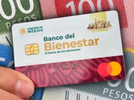 del 19 al 30 de noviembre se llevará a cabo el registro para la Pensión del Bienestar de las Personas Adultas Mayores. Este programa...