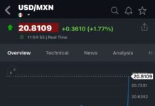 El peso mexicano era la divisa más depreciada del mercado internacional de cambios en la víspera de la toma de protesta de Trump el lunes.