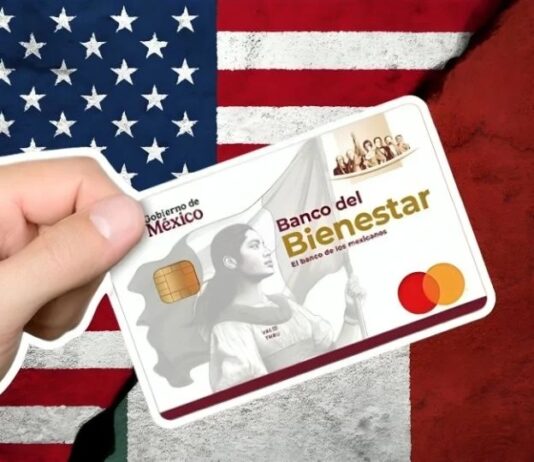 ¿Cómo tramitar la Tarjeta Bienestar Paisano? Guía para acceder al apoyo a repatriados