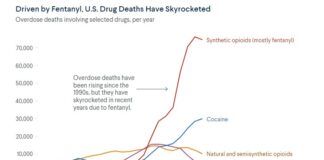 Al cierre de 2024, muertes por fentanilo en EU disminuyeron 21%: CDC. Cifras de Trump sobre decesos son inexactas. Funcionó cooperación entre México y gobierno Biden: CFR