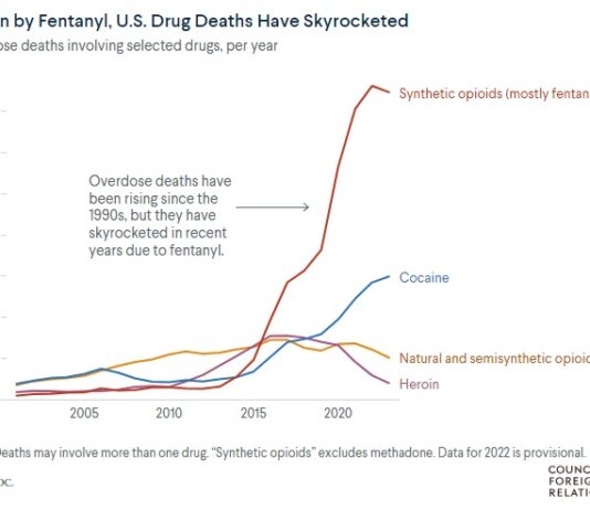 Al cierre de 2024, muertes por fentanilo en EU disminuyeron 21%: CDC. Cifras de Trump sobre decesos son inexactas. Funcionó cooperación entre México y gobierno Biden: CFR